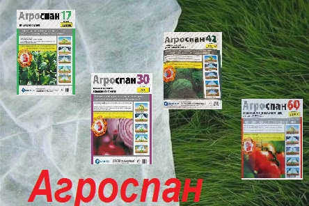 агроспан