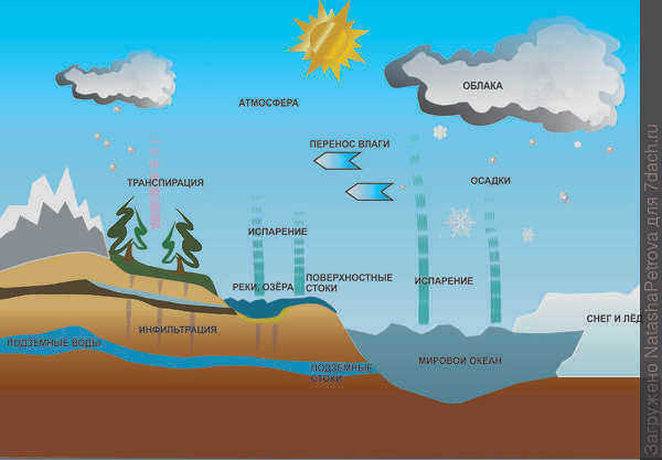 Диаграмма круговорота воды