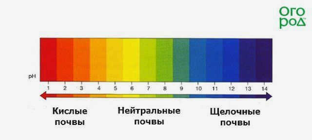 Шкала кислотности почвы