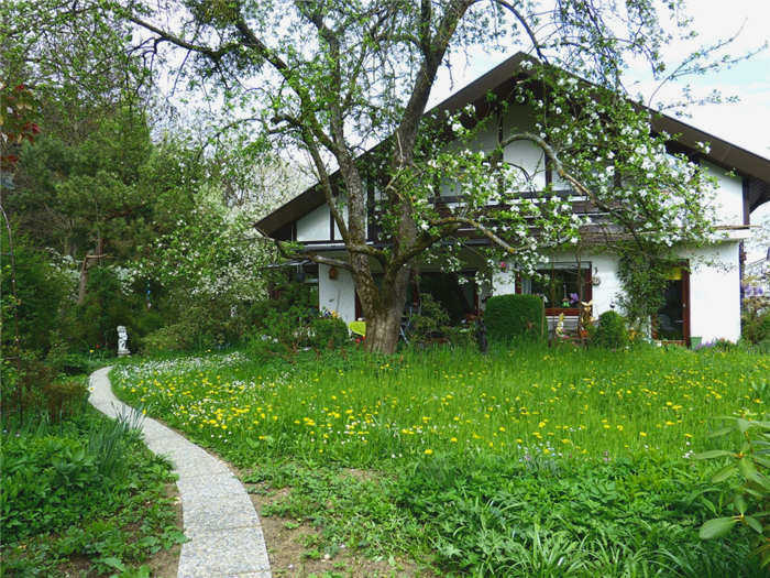4-shirina-dorozhki.jpg