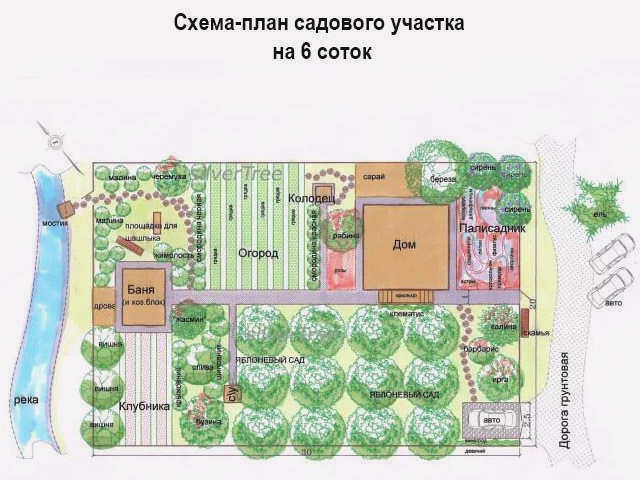 План участка для сада площадью 6 гектаров