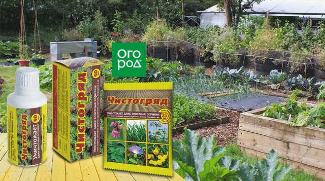 борьба с сорняками