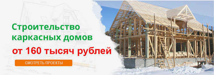 посмотреть проекты скелетных домов