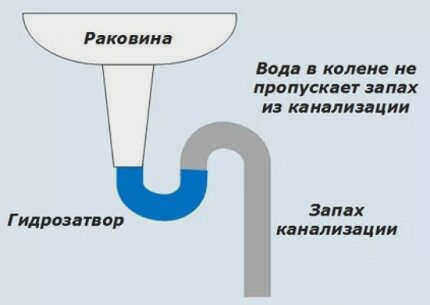 Принцип работы сифона
