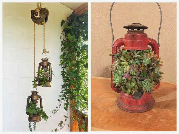 Рассадник из масляной лампы
