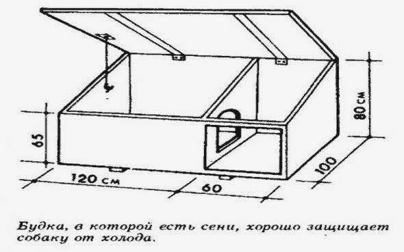 Искусство строительства ловушки для собак: инструкция по изготовлению из досок, поддонов и картона