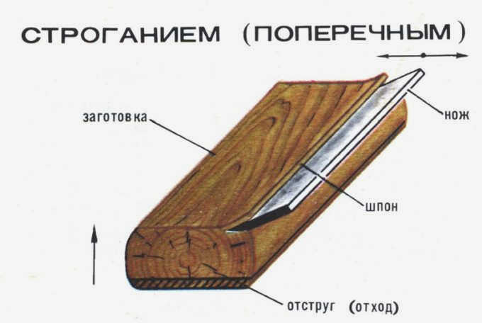 Строгание шпона