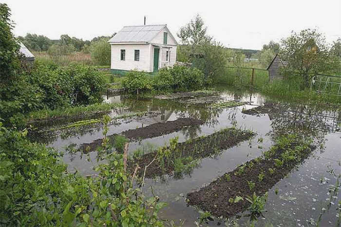 Заказать у