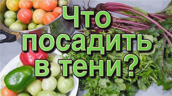 Нажмите и посмотрите