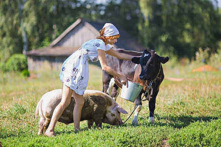 Отдых в сельской местности