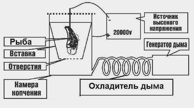 Технология копчения для приготовления свежих продуктов