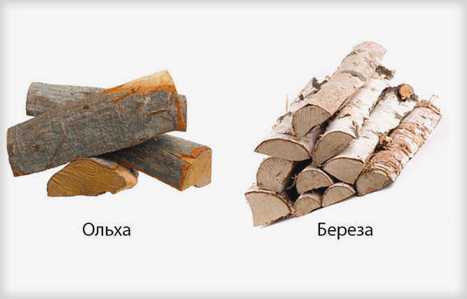 Какую породу дров выбрать