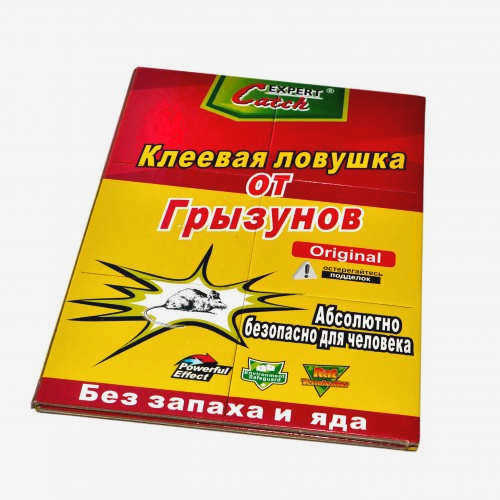 Как быстро поймать мышь в доме без мышеловки?