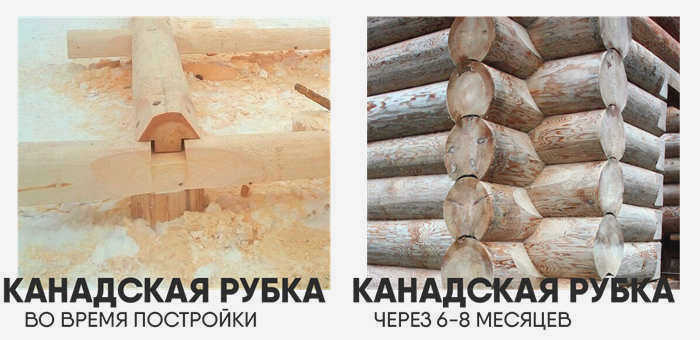 Бревенчатый дом в теплом углу