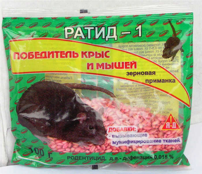 Как быстро поймать мышь в домашних условиях без мышеловки?
