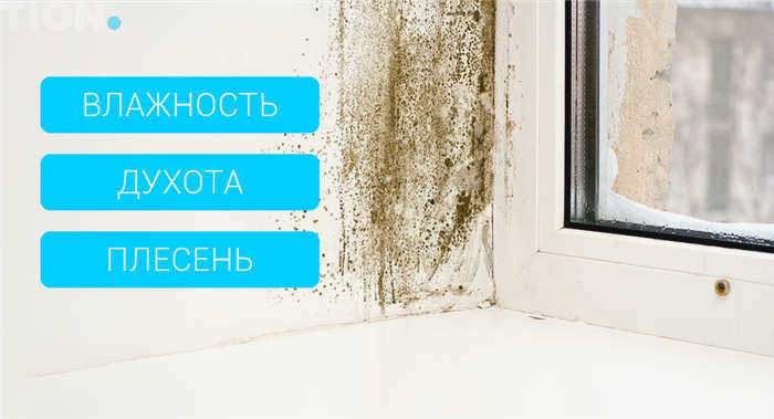 Плесень возле окна