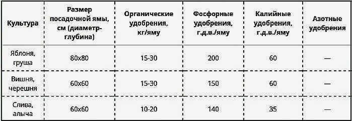 Сколько удобрений нужно вносить на один саженец