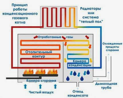 Сравнение эффективности различных систем