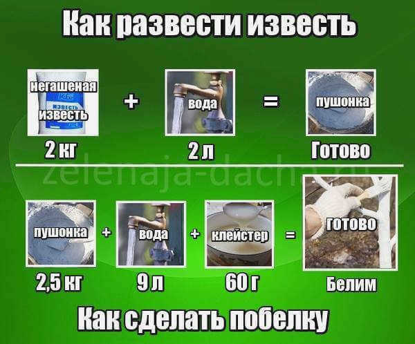 Дилара Аронова