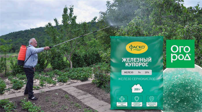 Сульфат железа