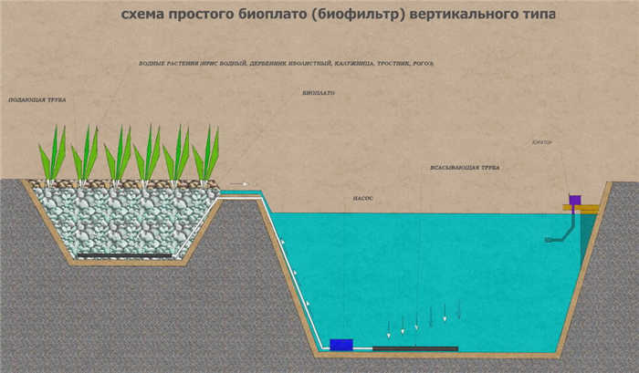 Биоплато 16423