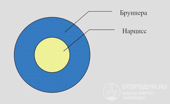 Рисунок для схемы 1