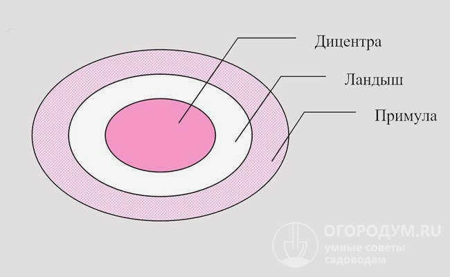 Рисунок для схемы 2