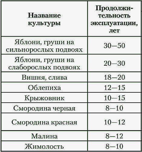 План участка