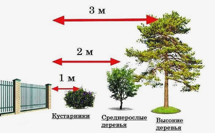 Примеры планирования сада