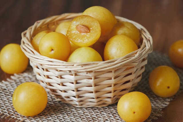 Как посеять алычу из семян