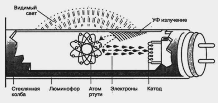 lm03.jpg