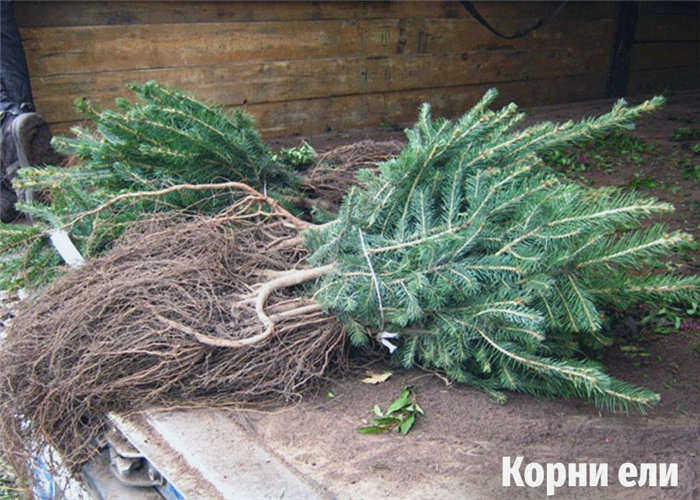 проекты домов с подвалом на склоне