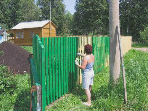 Женщина красит деревянный забор в зеленый цвет