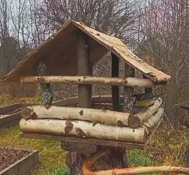 кормушка для пней