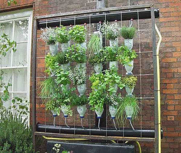 теплица из пластиковых бутылок, фото с geteasycraftideas.blogspot.com