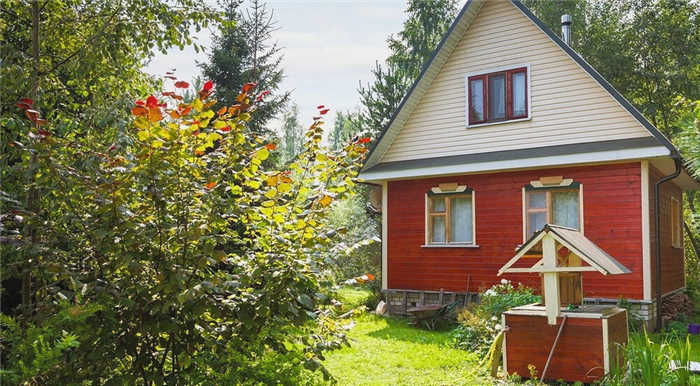 Как избавиться от змей в саду: 5 проверенных способов